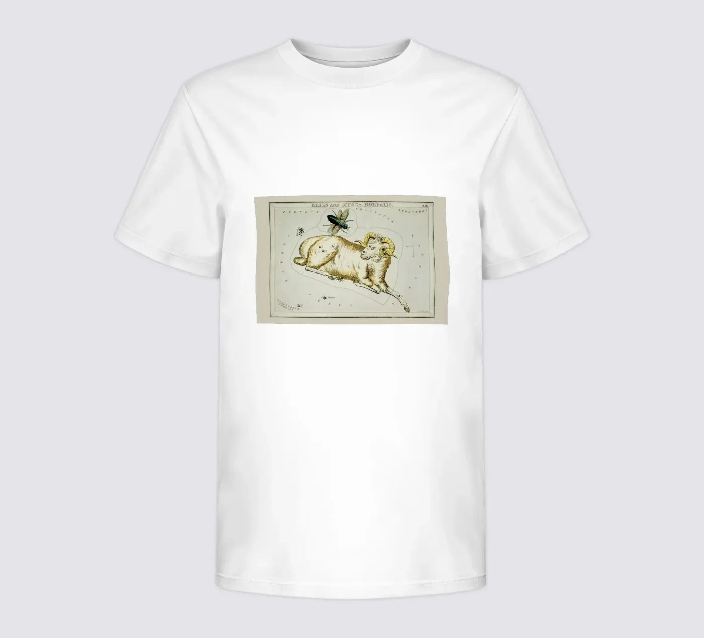 Aries kinder t-shirt van Vintage by JUNIQE