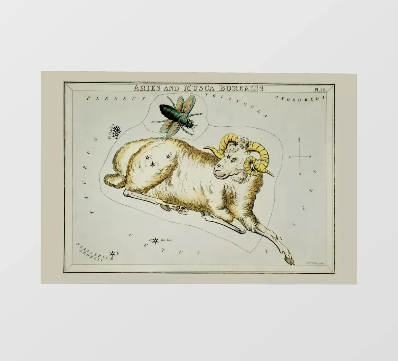 Aries pellicola backlit da Vintage by JUNIQE