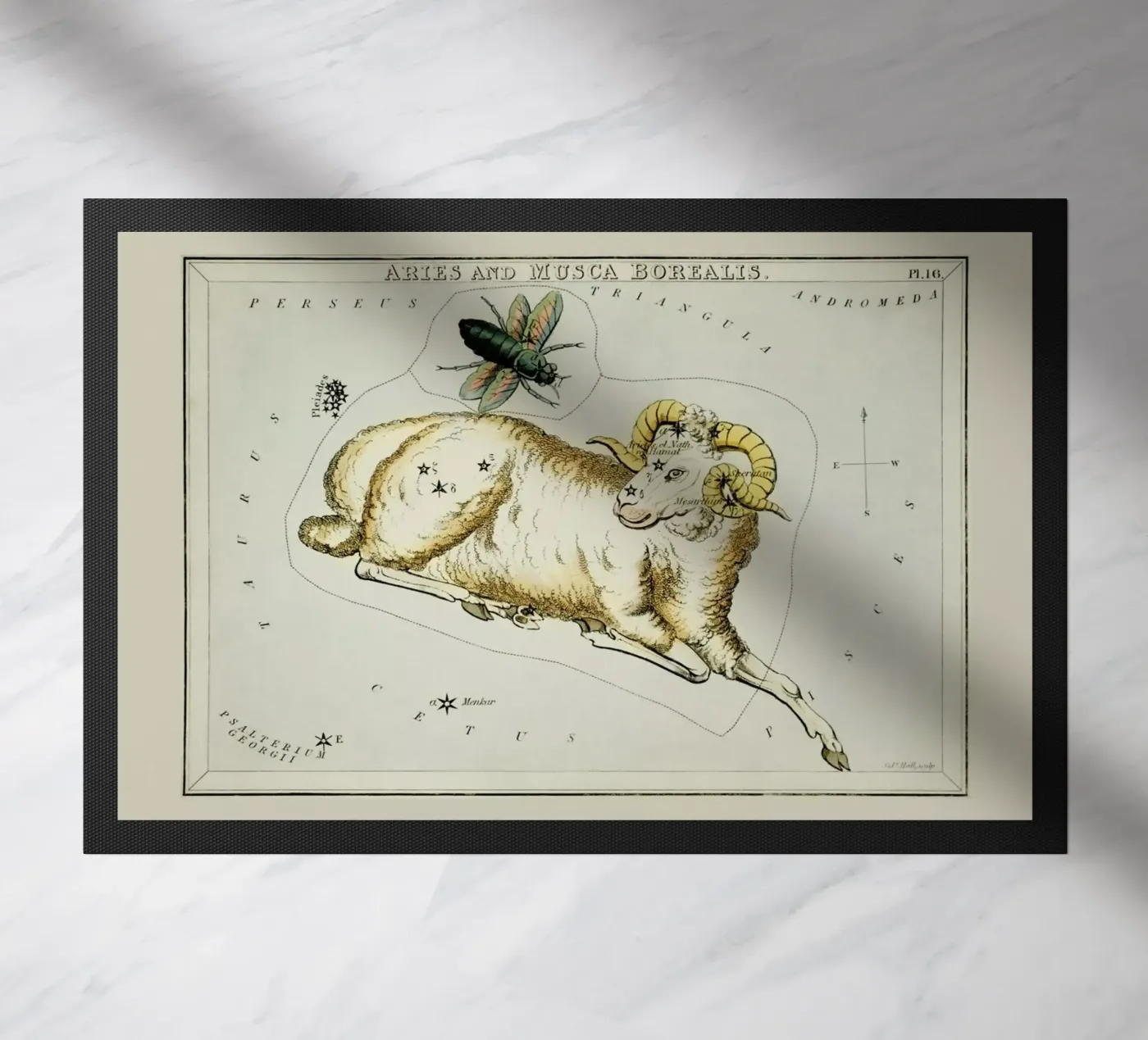 Aries Fußmatte von Vintage by JUNIQE