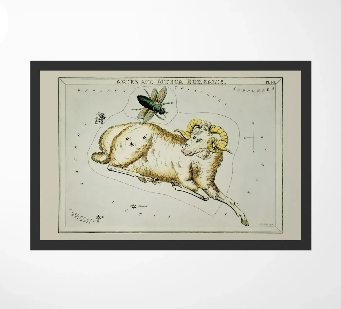 Aries Fußmatte von Vintage by JUNIQE