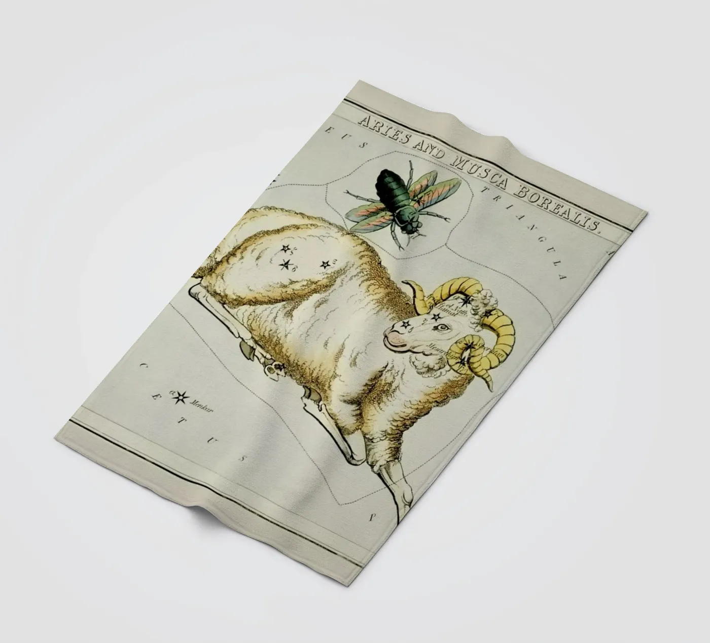 Aries Fleecedecke von Vintage by JUNIQE