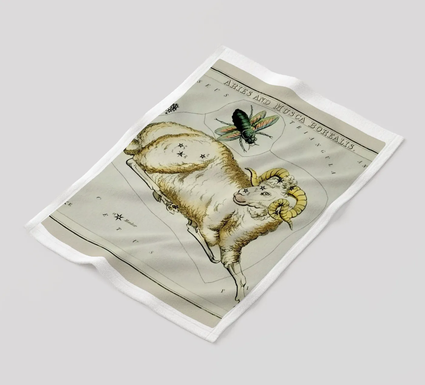 Aries Fleecedecke von Vintage by JUNIQE