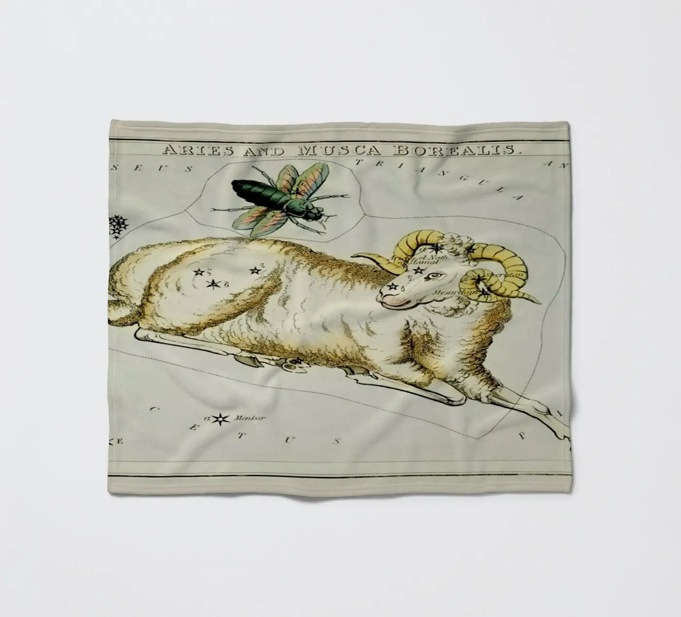 Aries Fleecedecke von Vintage by JUNIQE