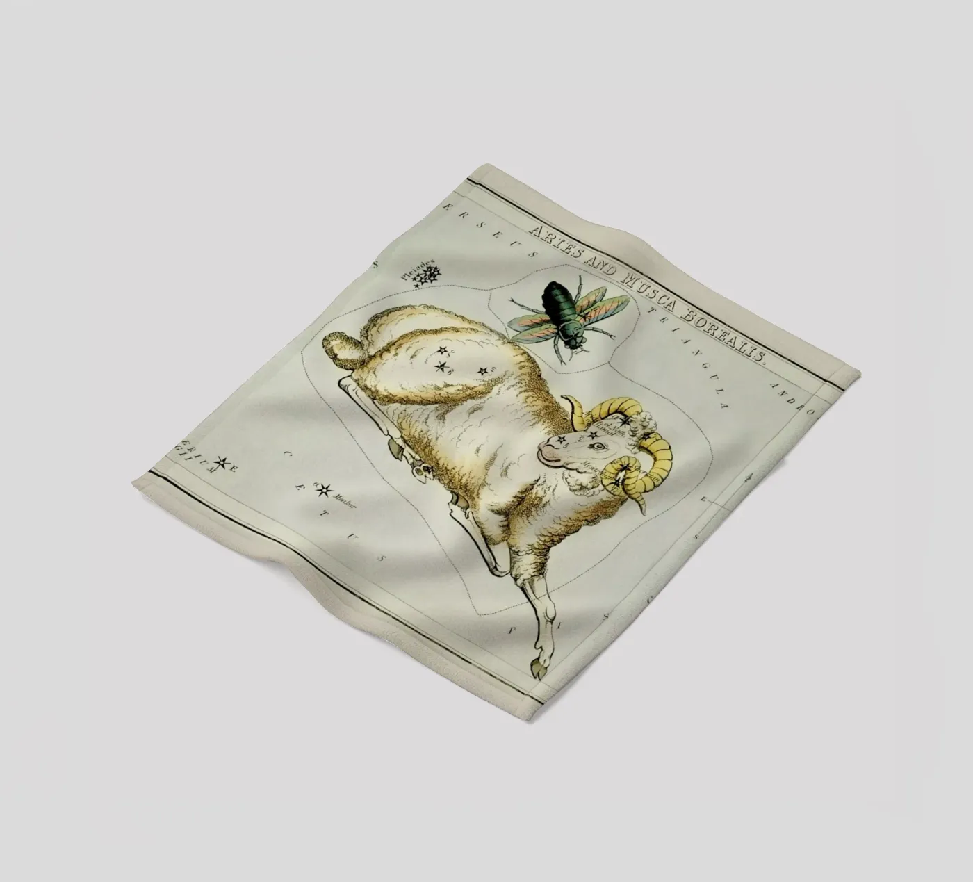 Aries Fleecedecke von Vintage by JUNIQE