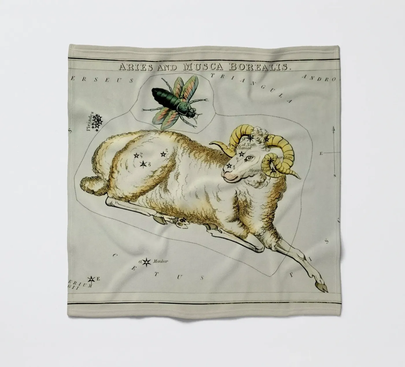 Aries Fleecedecke von Vintage by JUNIQE