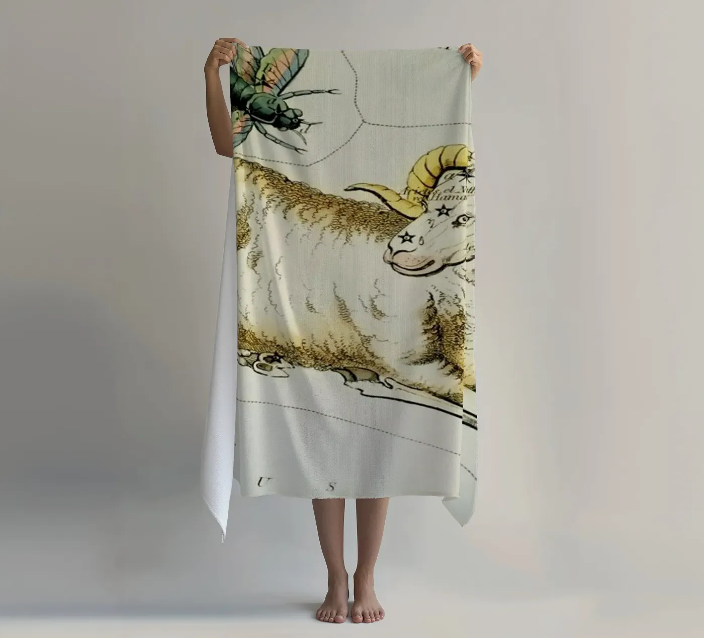 Aries telo mare da Vintage by JUNIQE