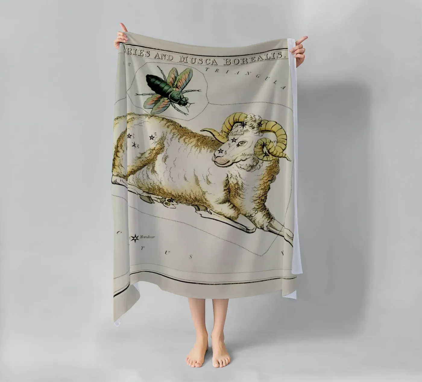 Aries telo mare da Vintage by JUNIQE