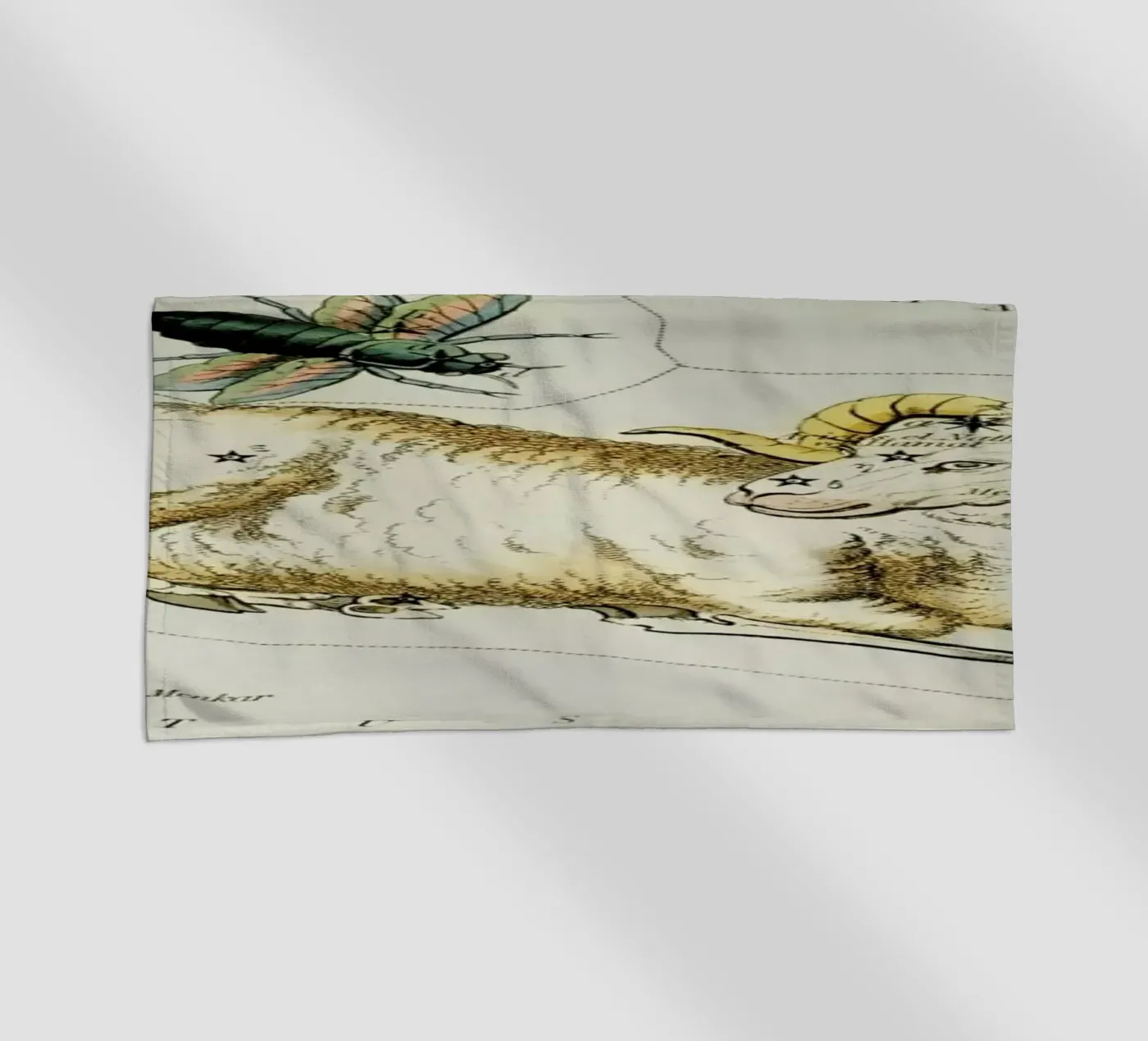 Aries telo mare da Vintage by JUNIQE