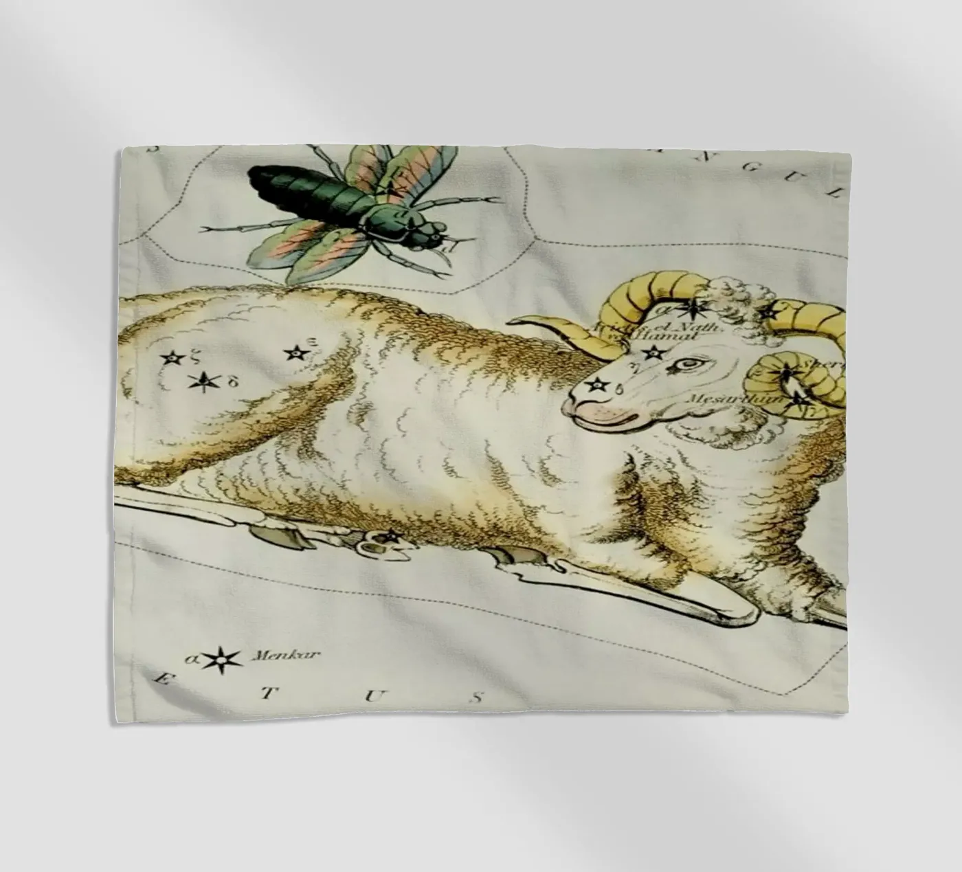 Aries telo mare da Vintage by JUNIQE