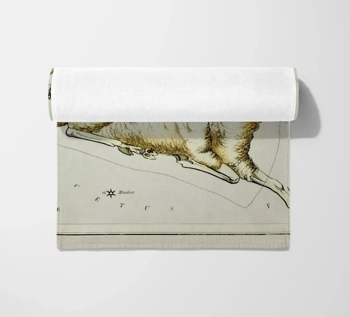 Aries telo mare da Vintage by JUNIQE