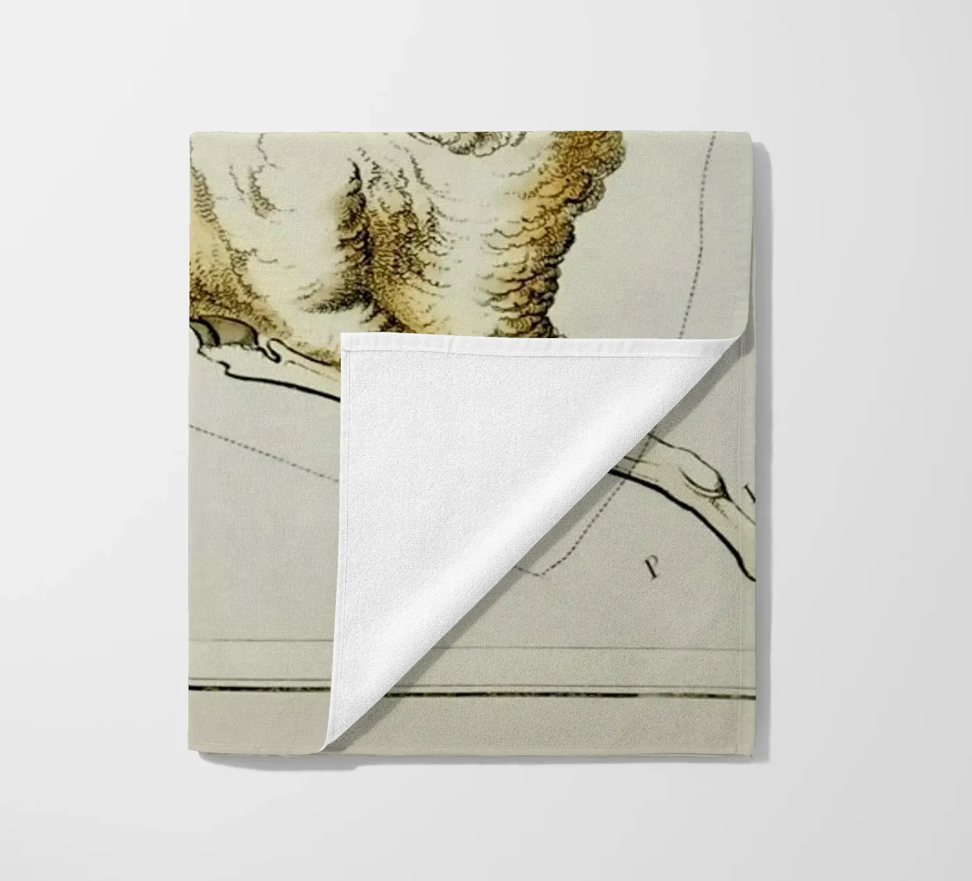 Aries telo mare da Vintage by JUNIQE