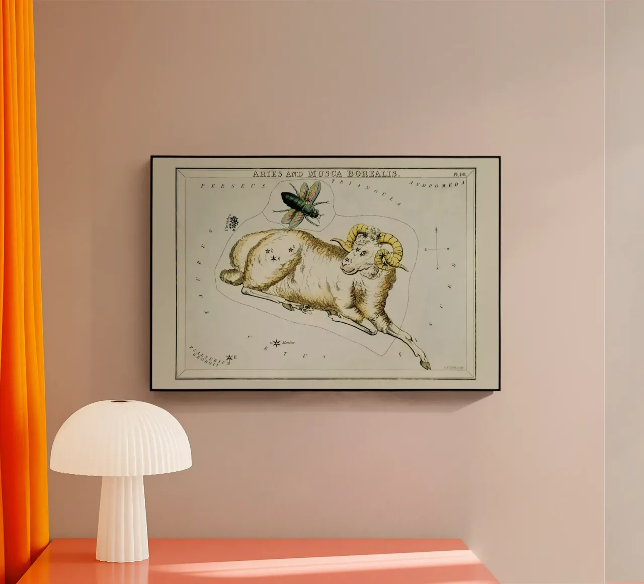 Aries plexiglass da Vintage by JUNIQE