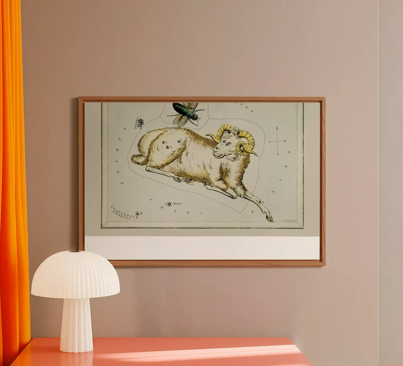 Aries alluminio dibond da Vintage by JUNIQE