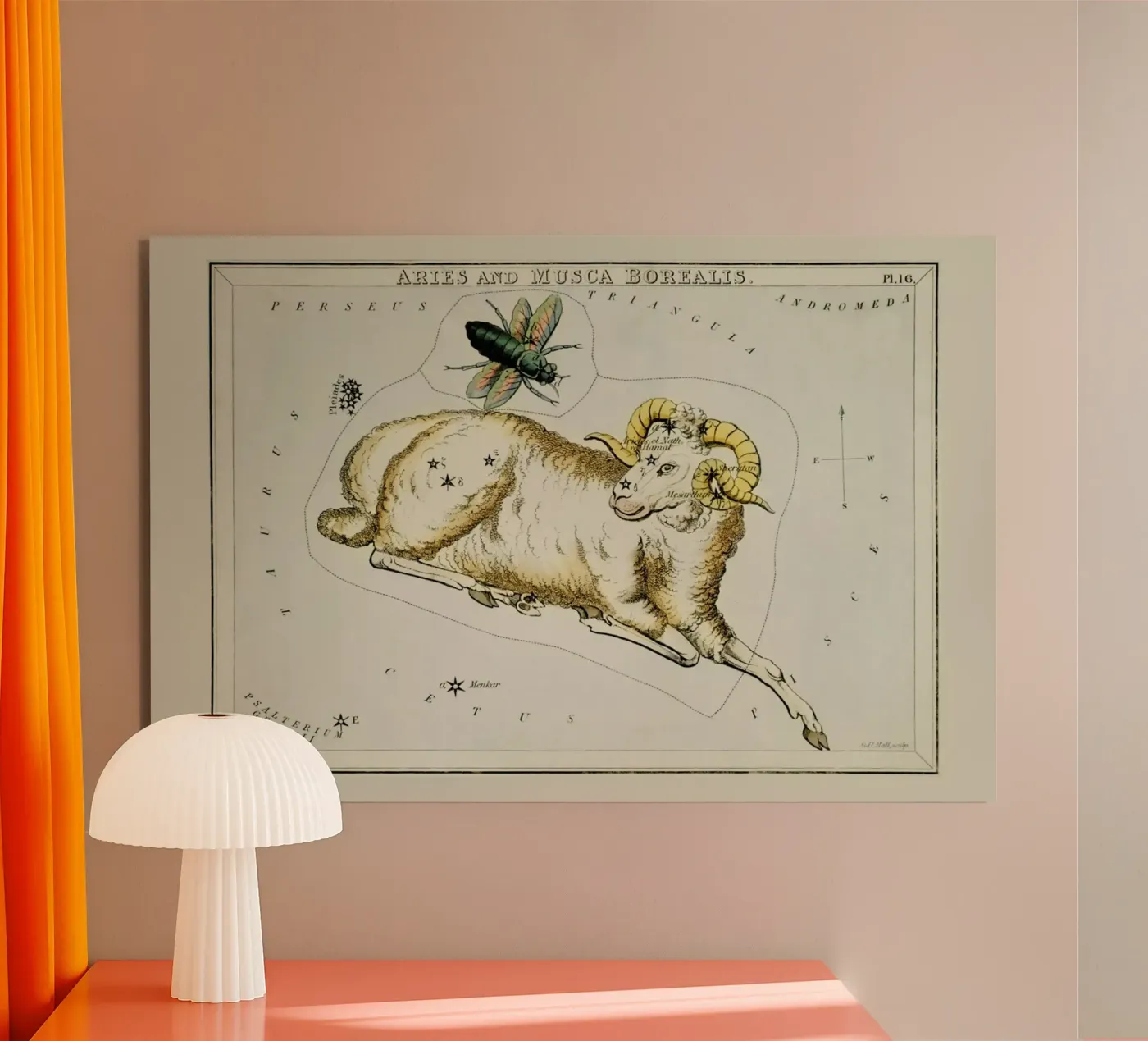 Aries alluminio dibond da Vintage by JUNIQE