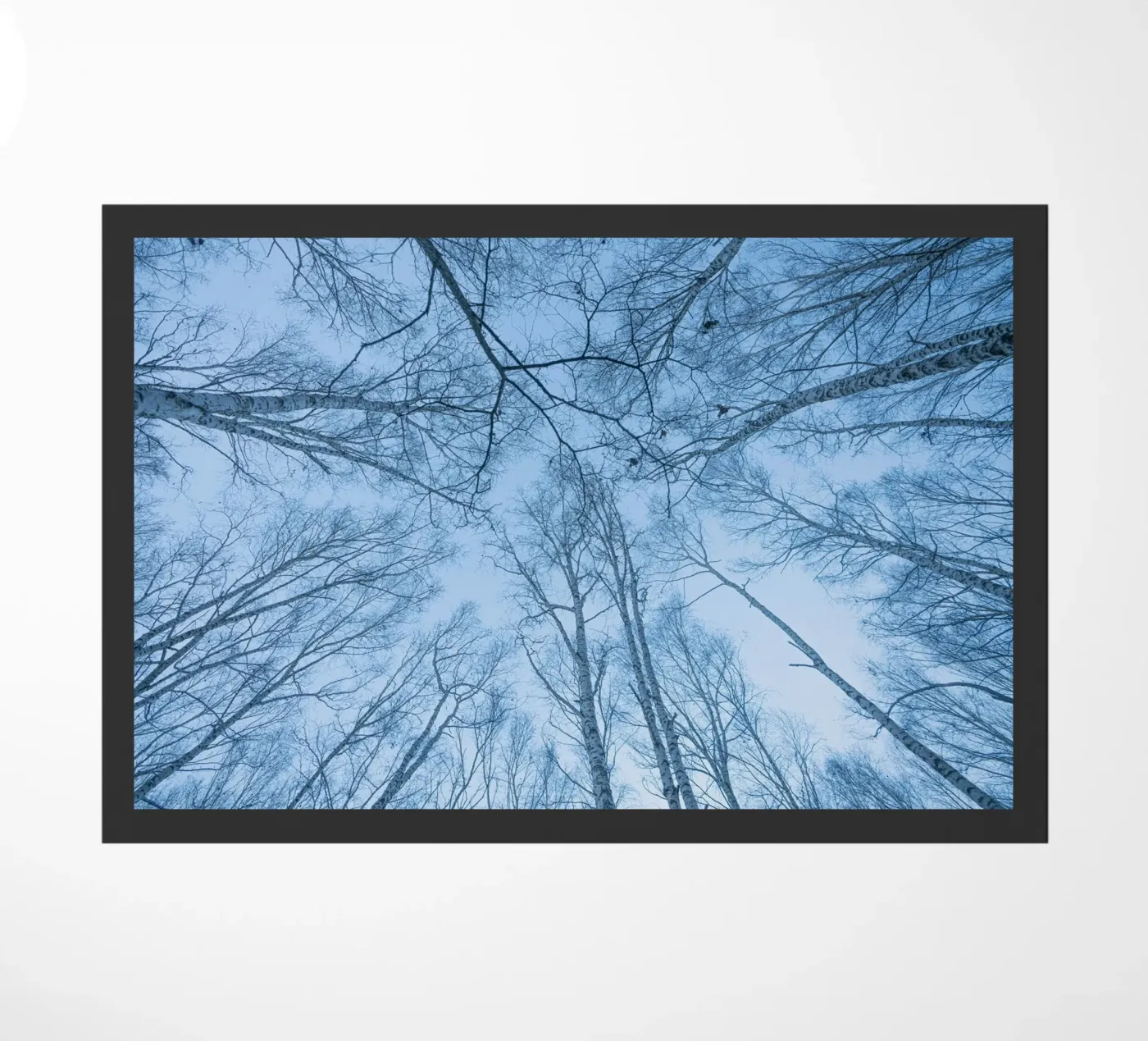 branches sky forest doormat by Bleu