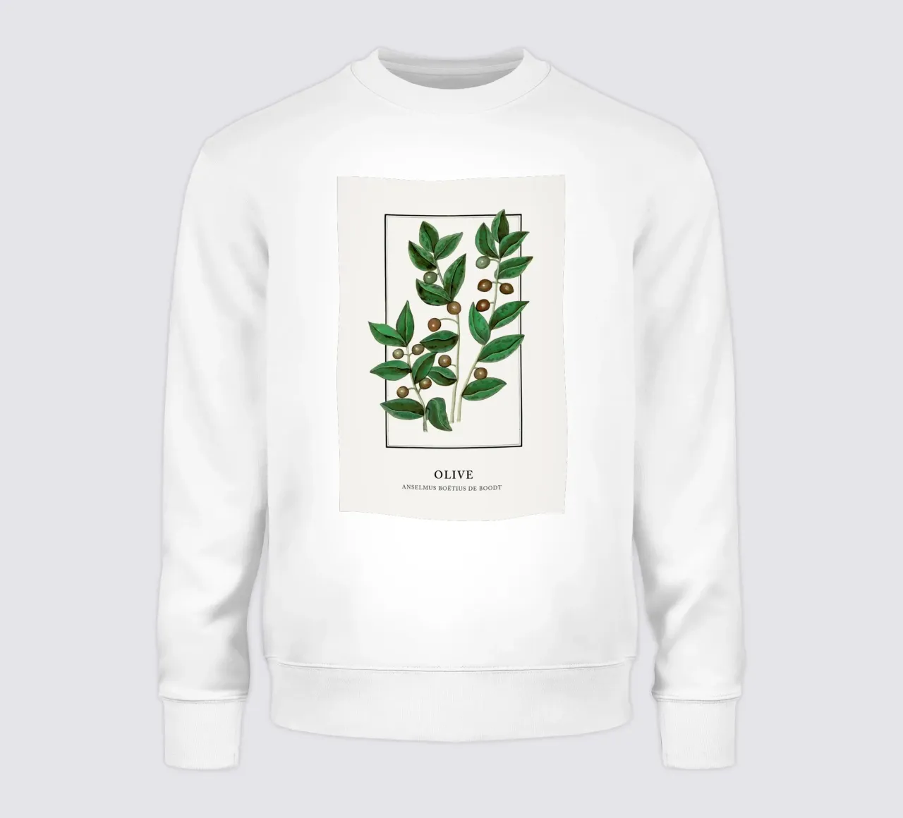 Anselmus Boëtius de Boodt - Olive felpa da Vintage by JUNIQE