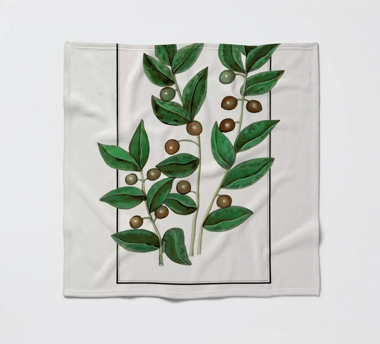 Anselmus Boëtius de Boodt - Olive coperta in pile da Vintage by JUNIQE