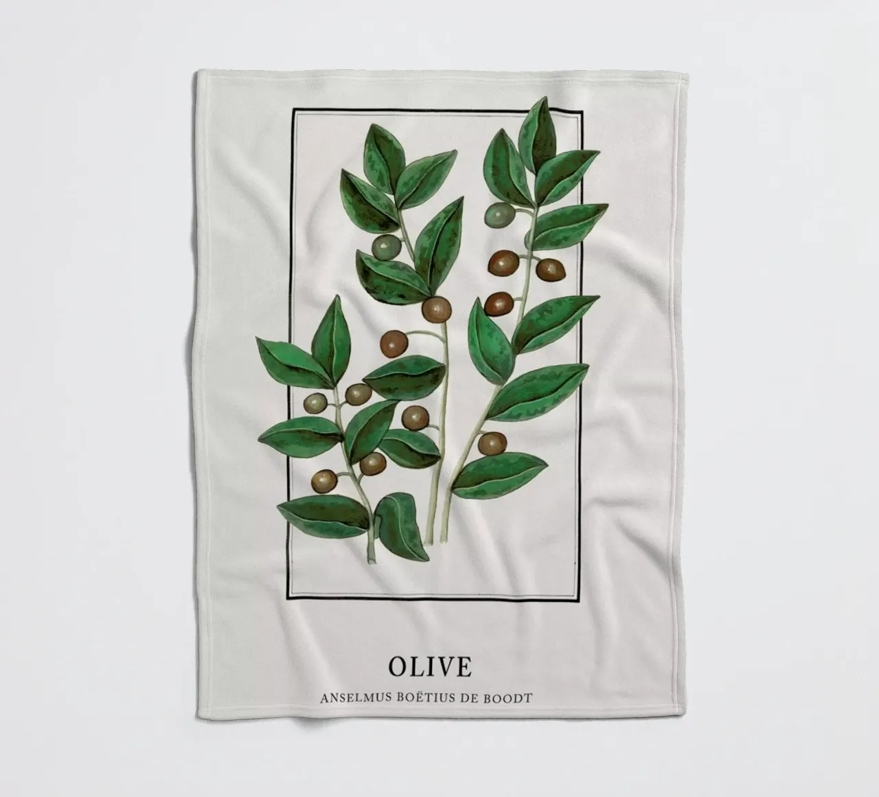 Anselmus Boëtius de Boodt - Olive coperta in pile da Vintage by JUNIQE