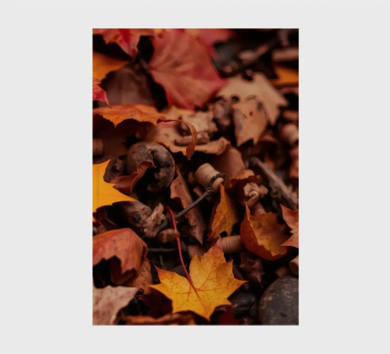 Colorful autumn leaves covering the ground notebook by DesignDoodle
