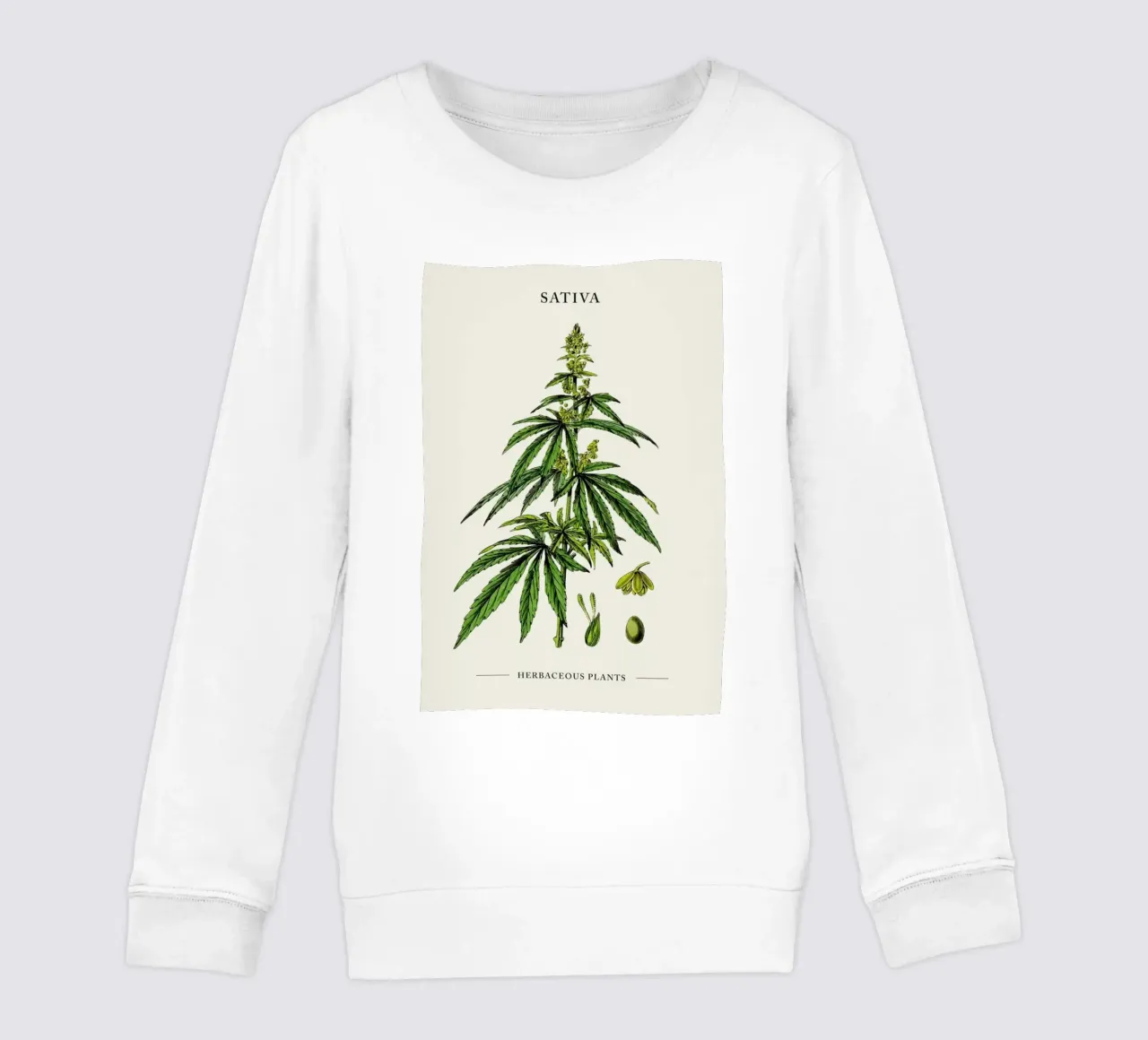 Sativa II felpa bambino da Studio One