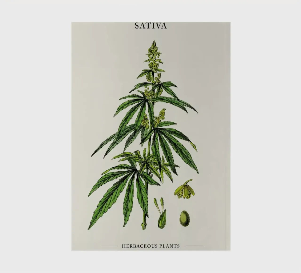 Sativa II notebook by Studio One