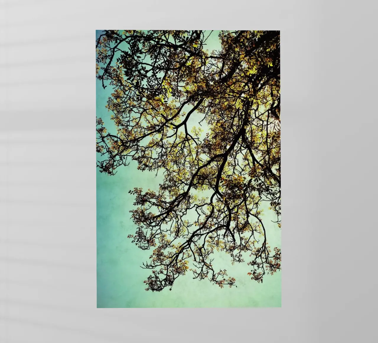 Breathing pellicola backlit da Angelo Cerantola