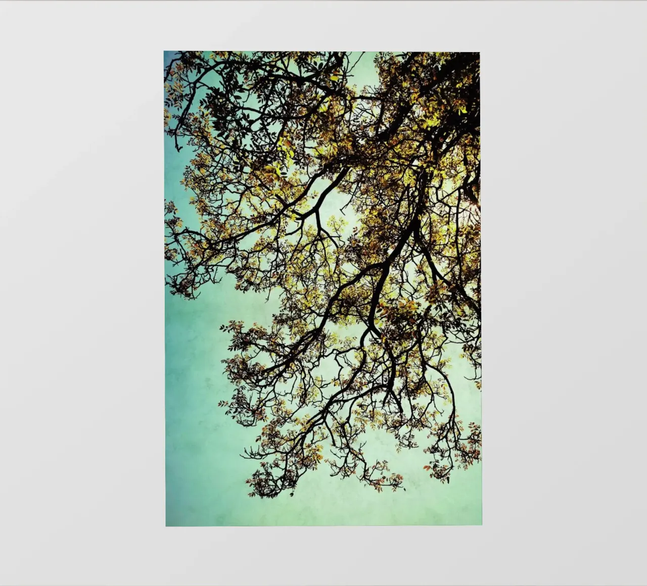 Breathing pellicola backlit da Angelo Cerantola