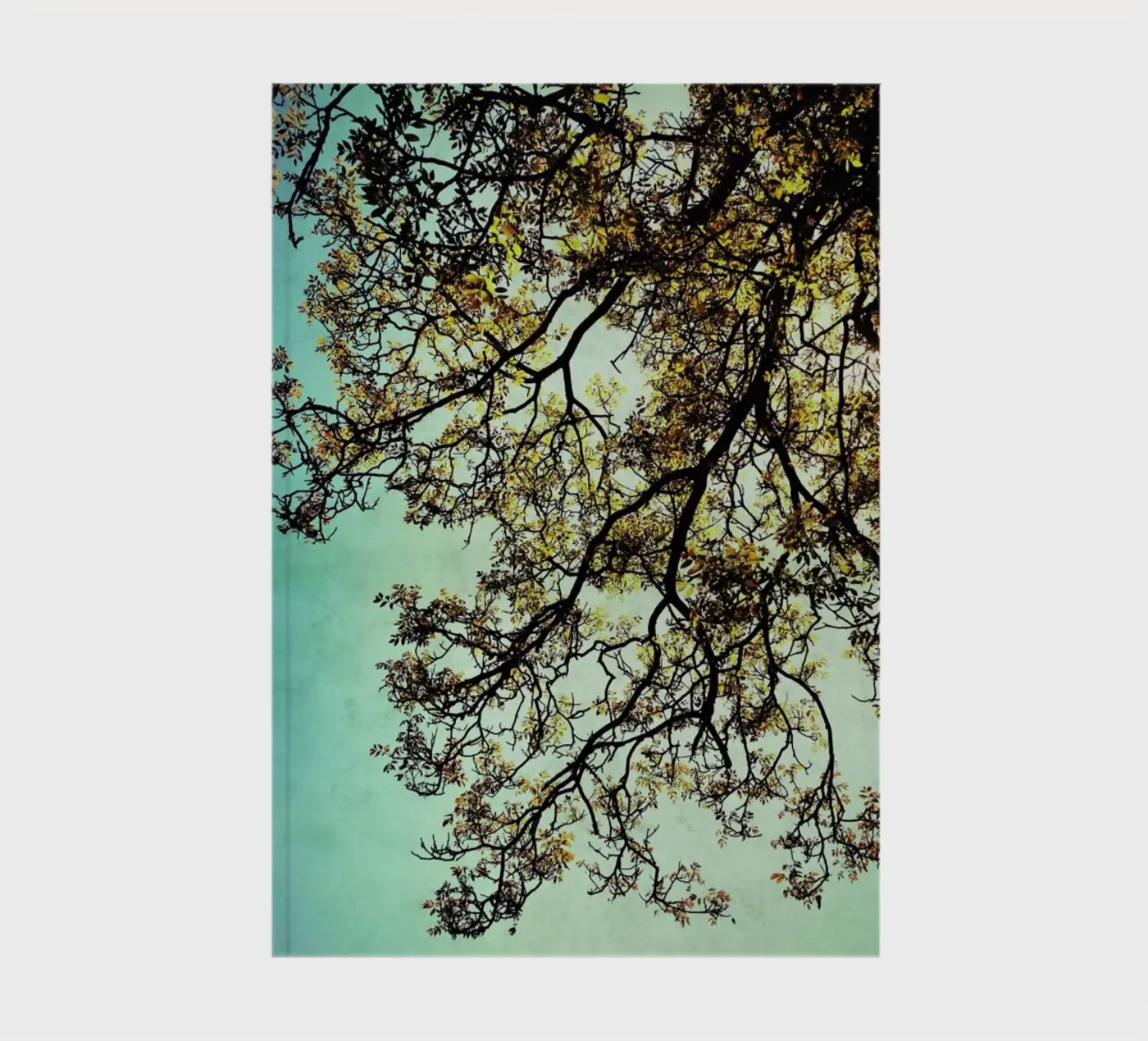 Breathing notebook by Angelo Cerantola