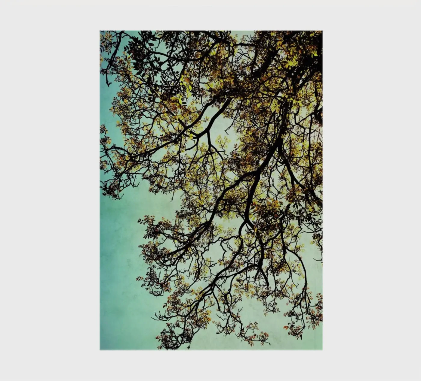 Breathing notebook by Angelo Cerantola