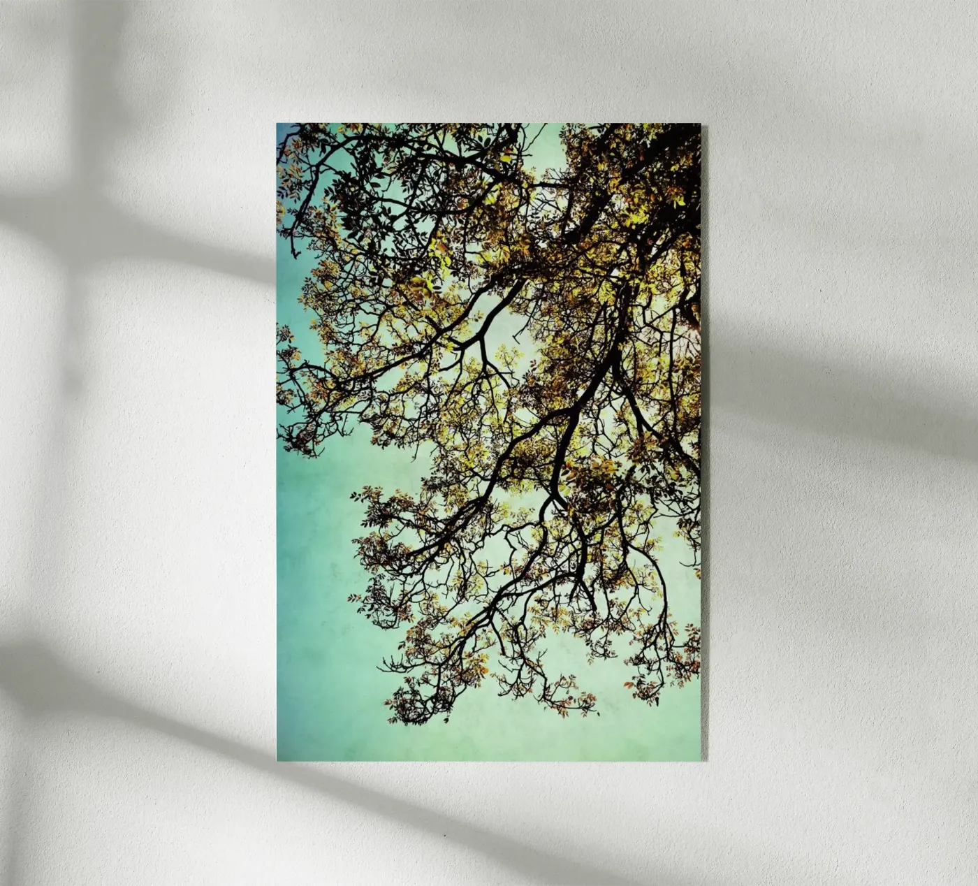 Breathing Acryl-Glas von Angelo Cerantola
