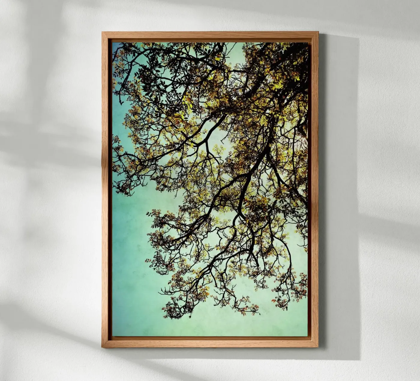 Breathing pannello forex da Angelo Cerantola