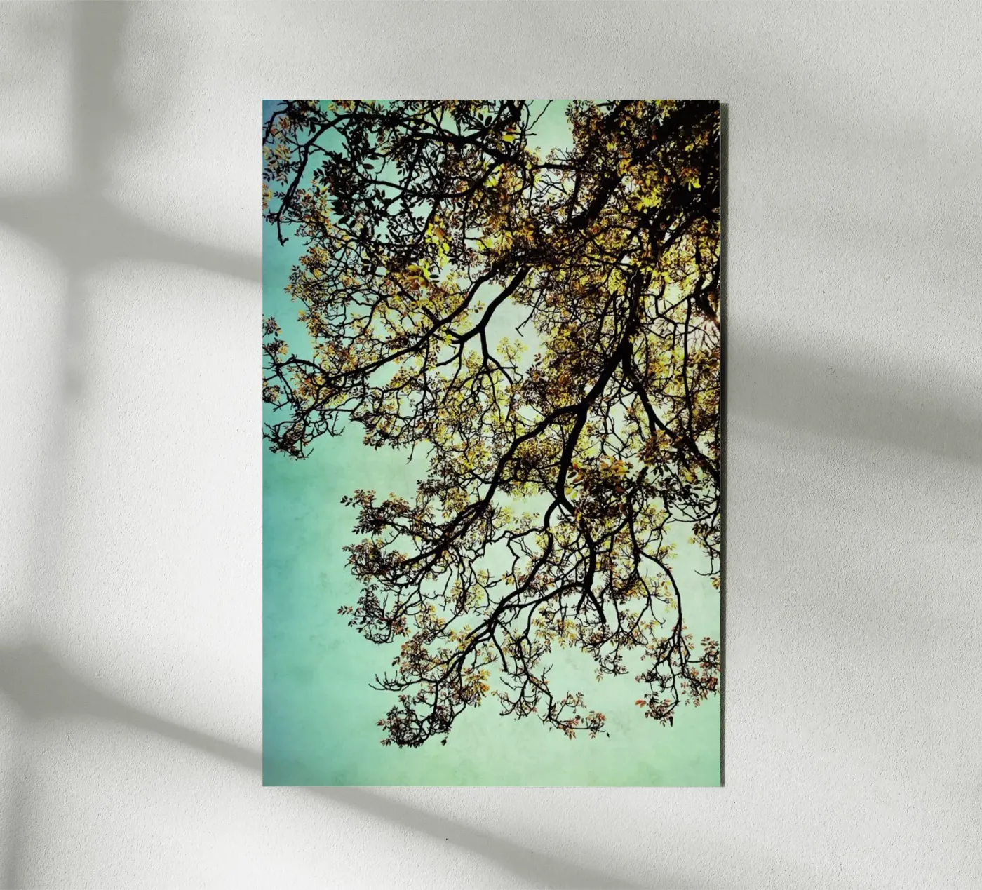 Breathing pannello forex da Angelo Cerantola