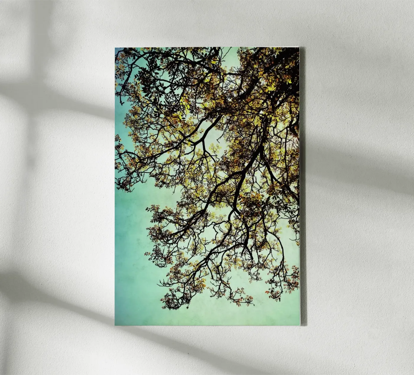 Breathing canvas by Angelo Cerantola