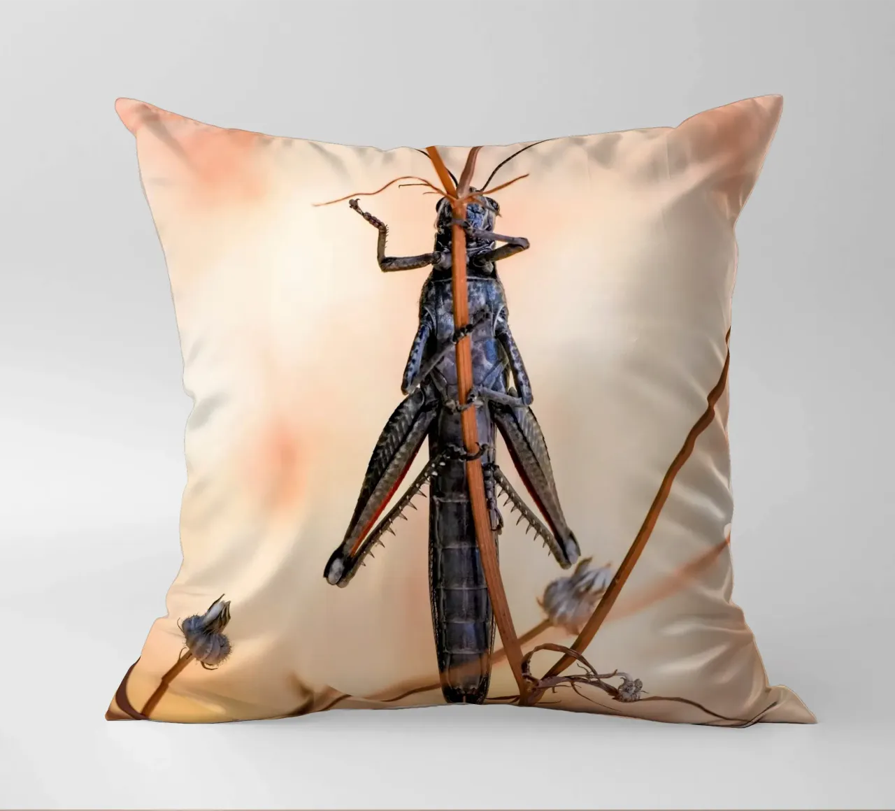 Grasshopper decorative cushion by Tom's Wildlife