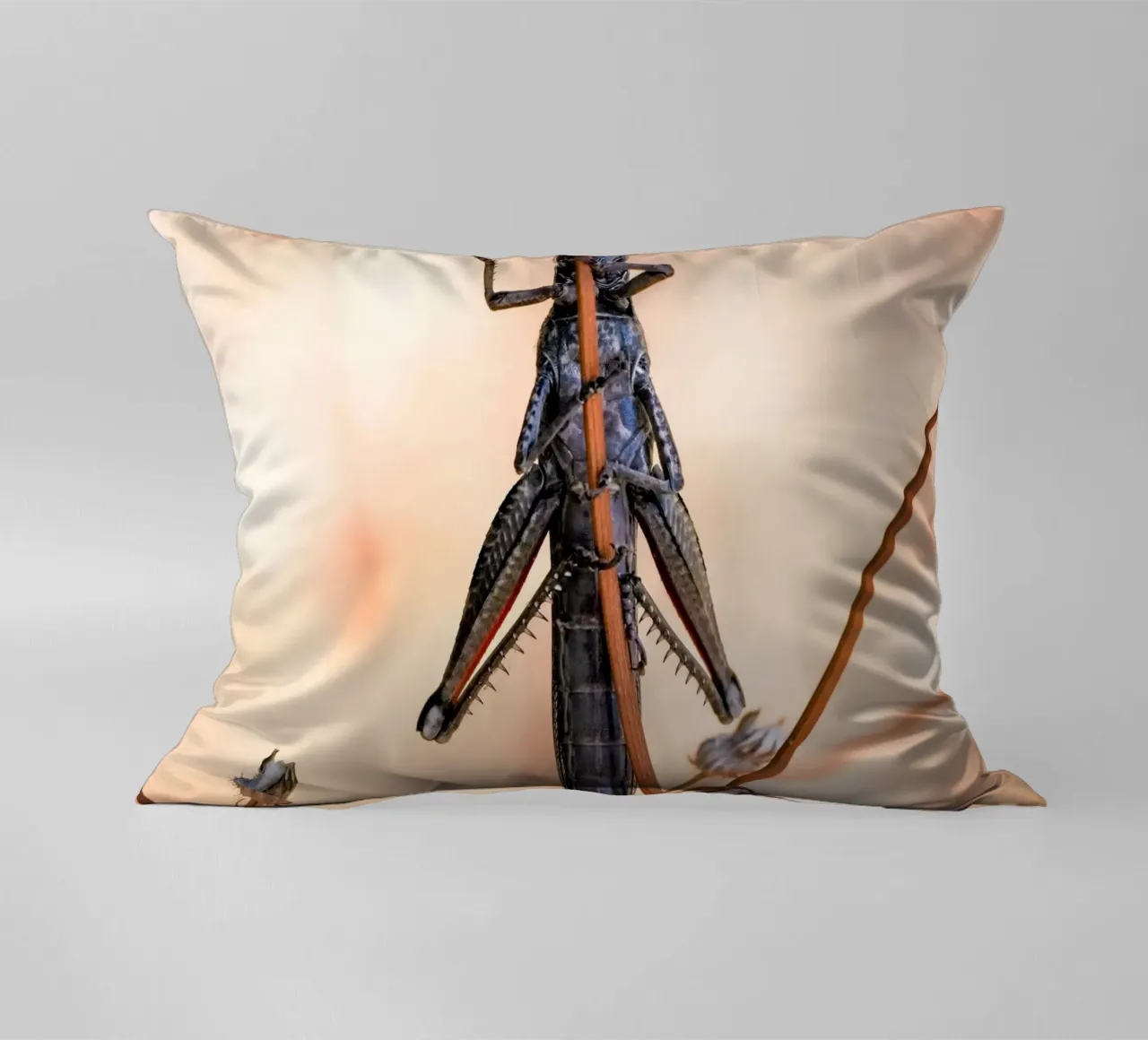Grasshopper decorative cushion by Tom's Wildlife