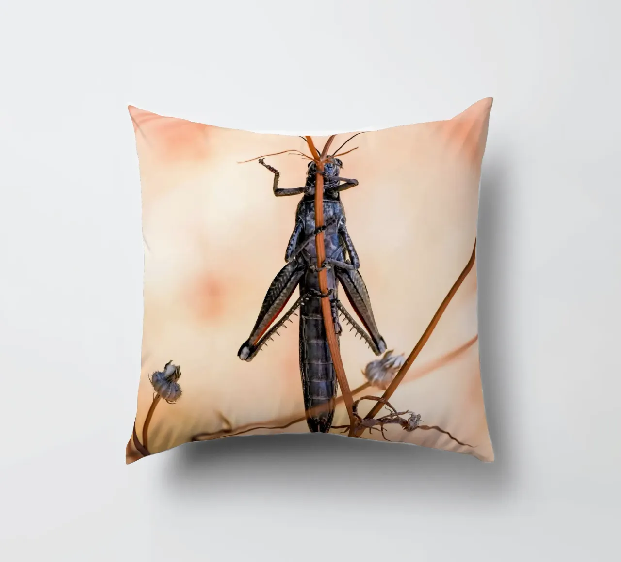 Grasshopper decorative cushion by Tom's Wildlife