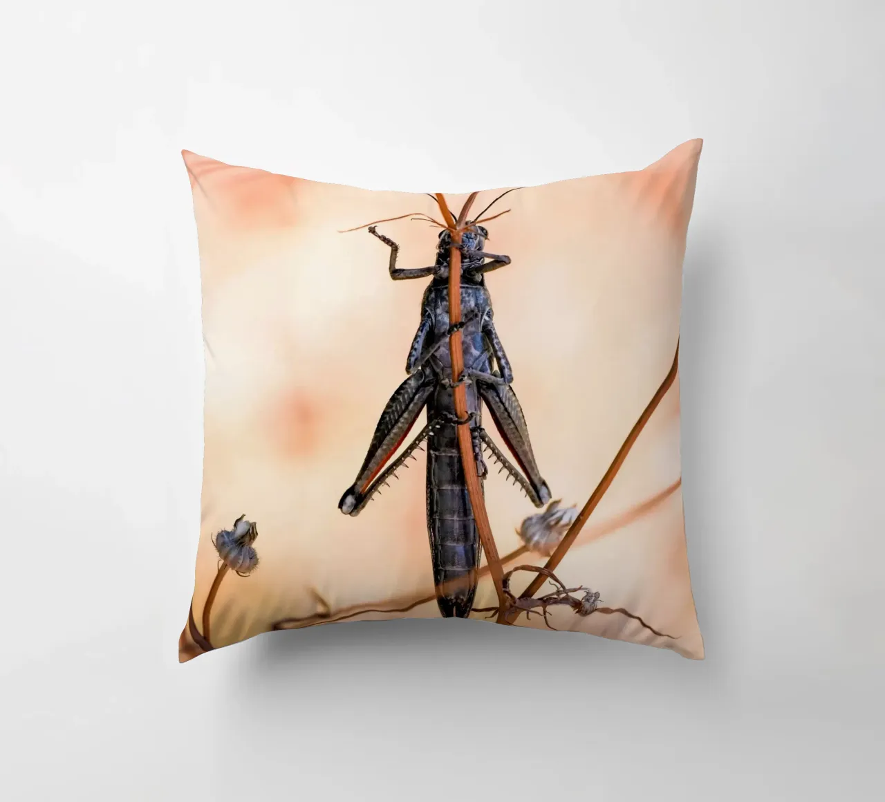 Grasshopper decorative cushion by Tom's Wildlife