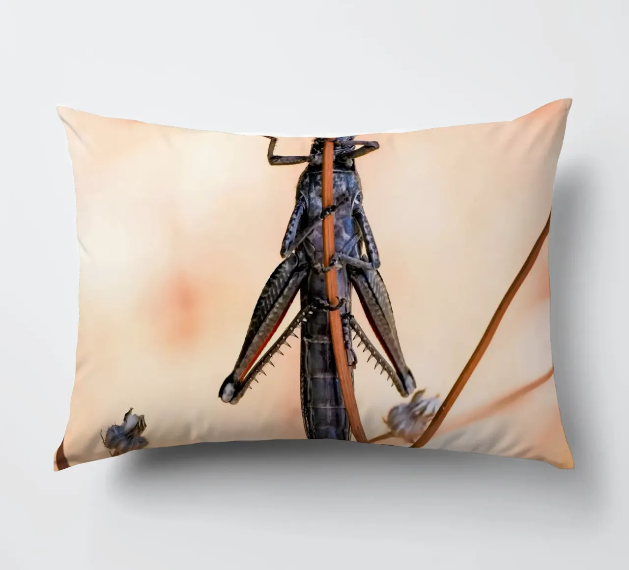 Grasshopper decorative cushion by Tom's Wildlife