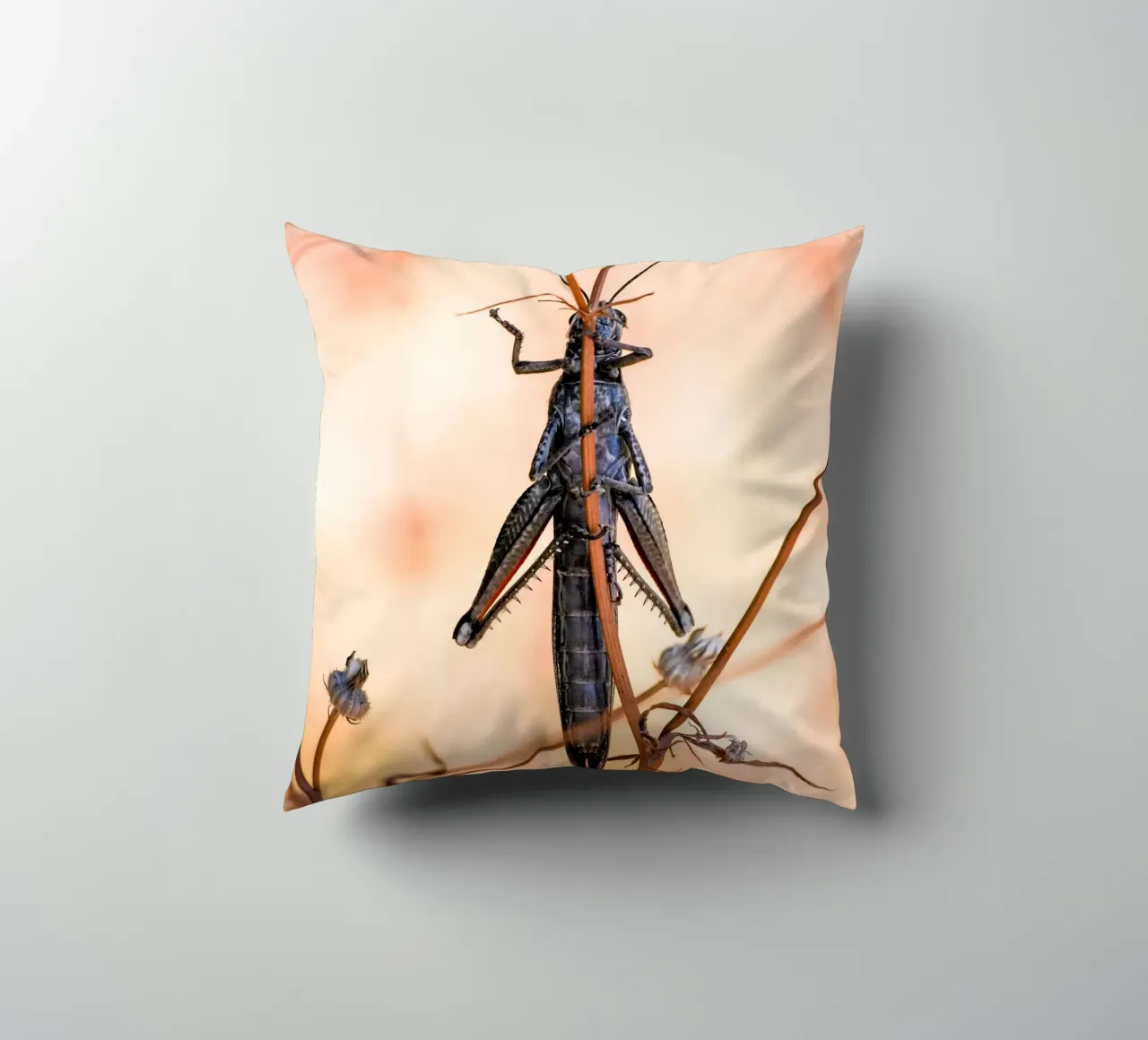 Grasshopper decorative cushion by Tom's Wildlife