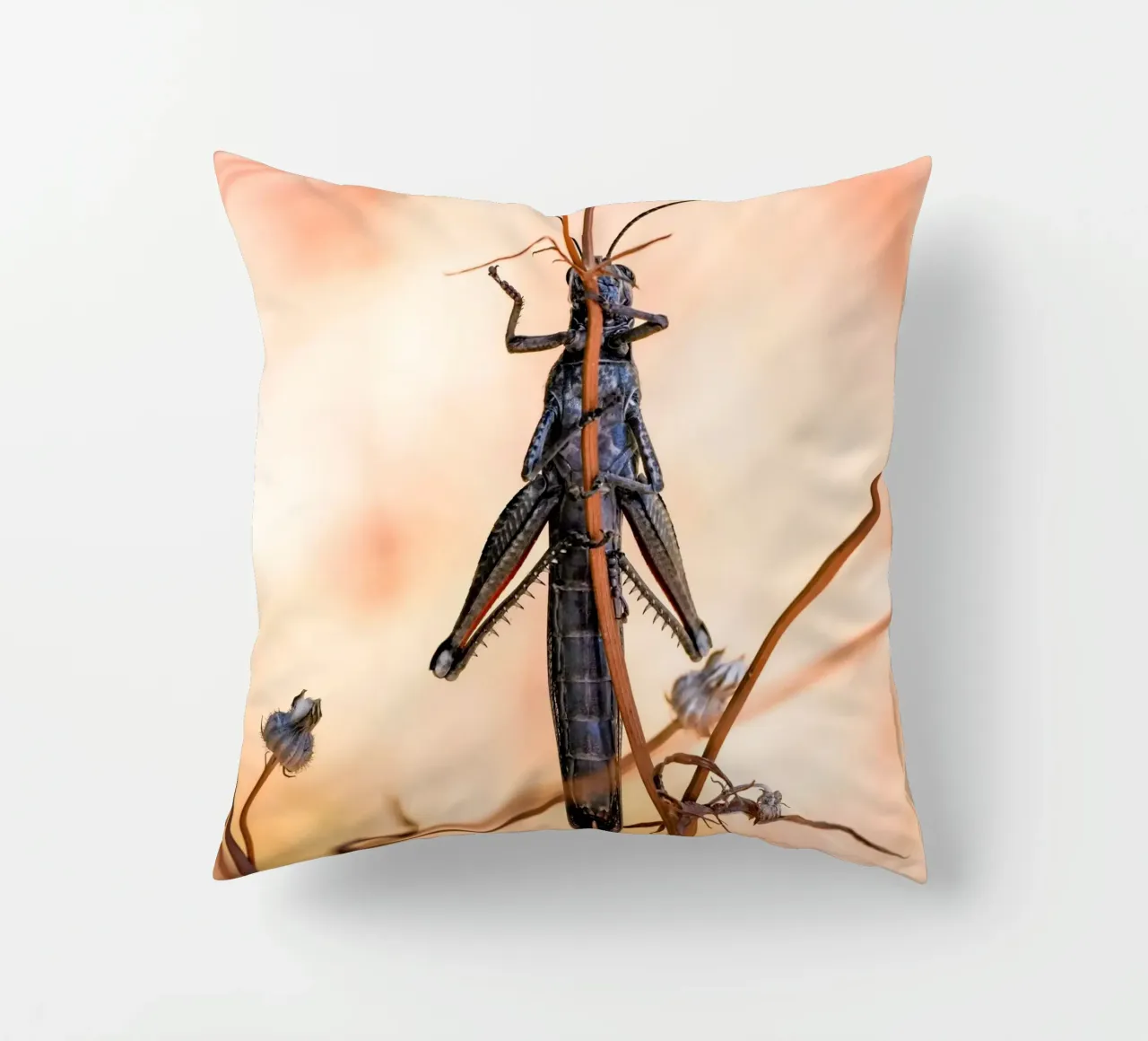 Grasshopper decorative cushion by Tom's Wildlife