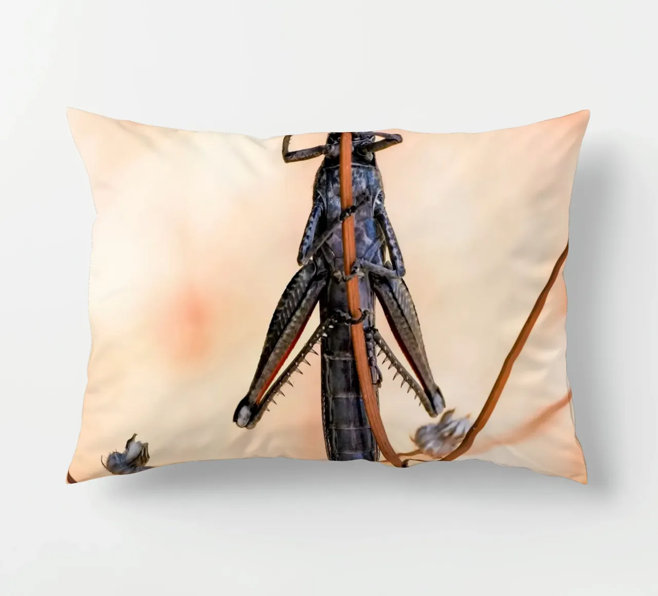 Grasshopper decorative cushion by Tom's Wildlife