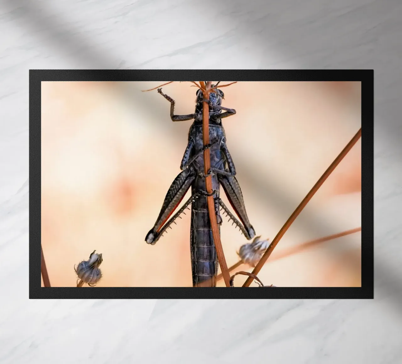 Grasshopper doormat by Tom's Wildlife