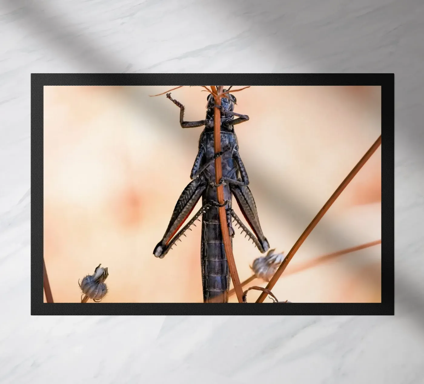 Sprinkhaan deurmat van Tom's Wildlife