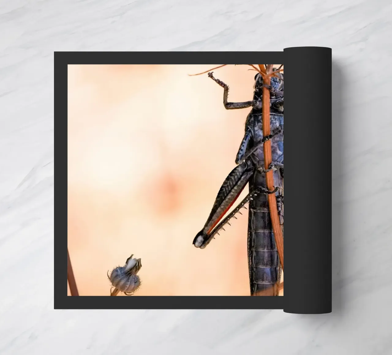 Grasshopper doormat by Tom's Wildlife