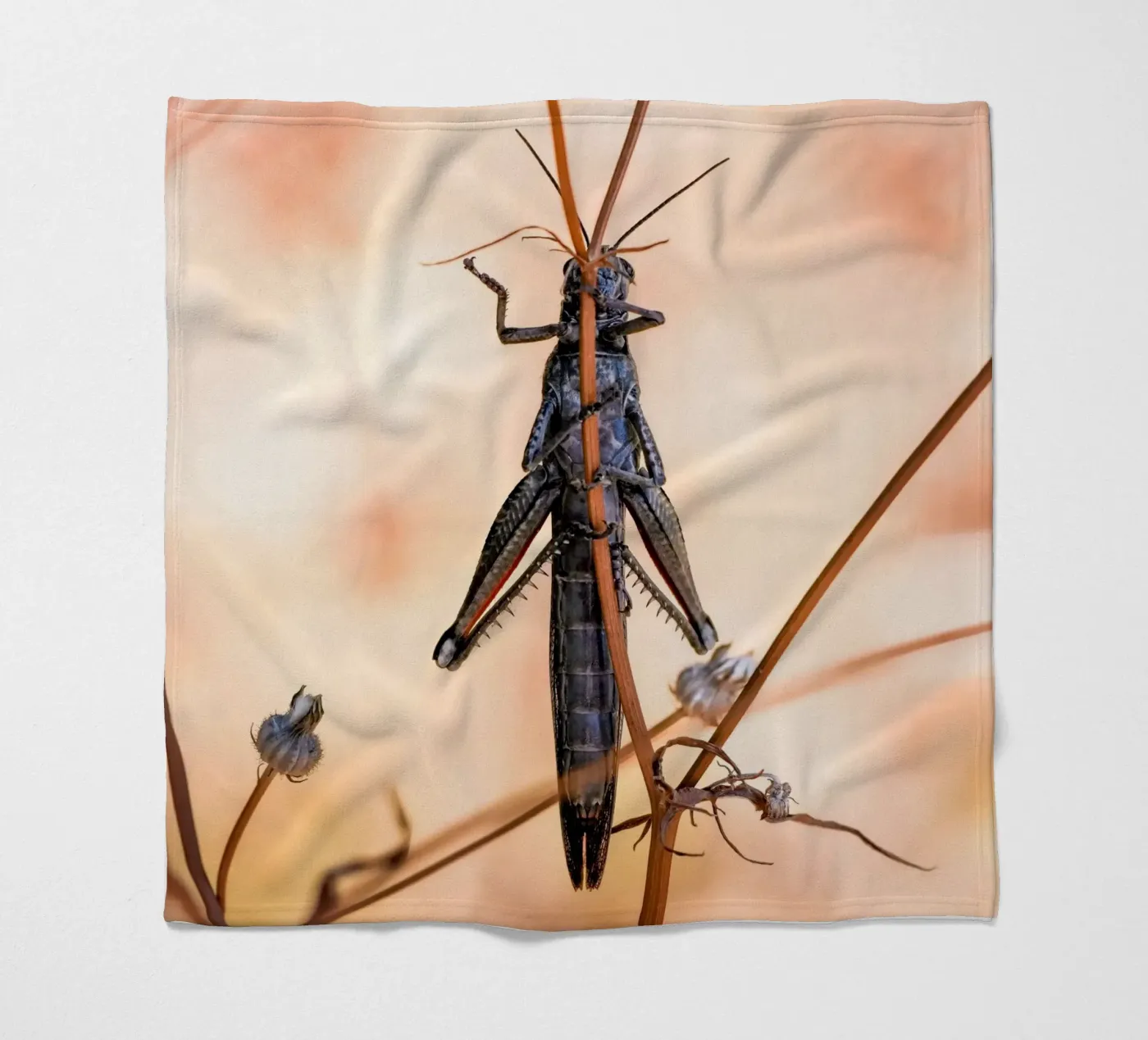 Sprinkhaan fleecedeken van Tom's Wildlife