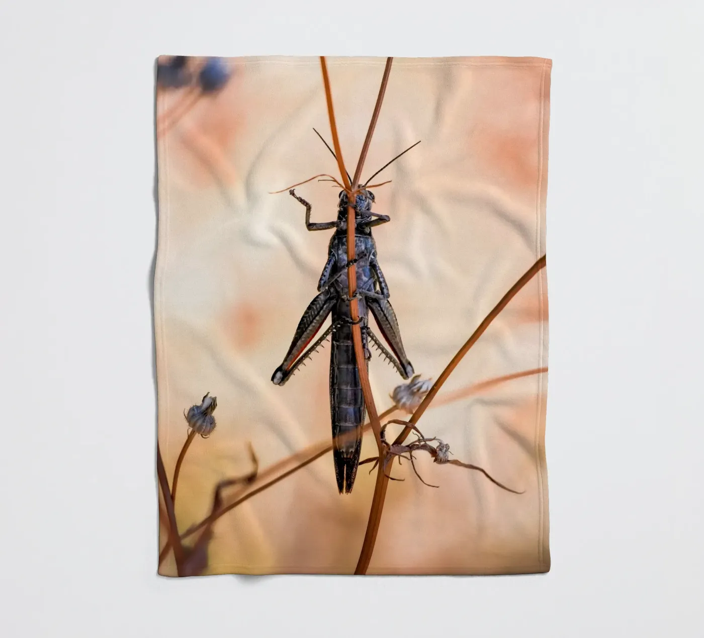 Sprinkhaan fleecedeken van Tom's Wildlife