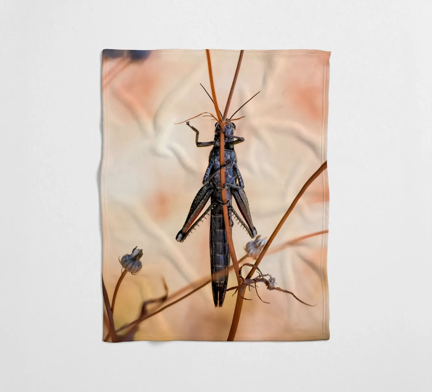 Sprinkhaan fleecedeken van Tom's Wildlife