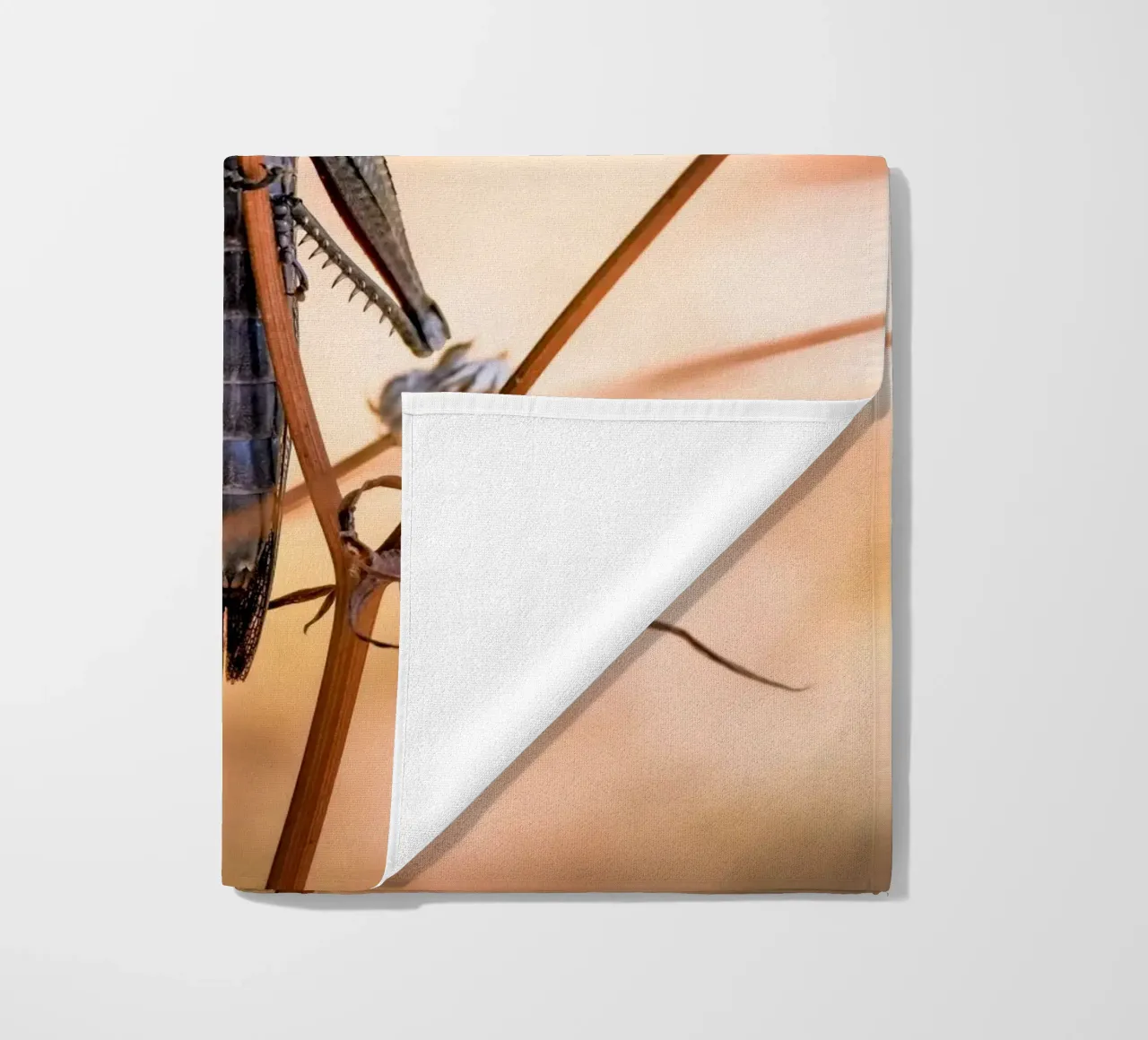 Grasshopper beach towel by Tom's Wildlife
