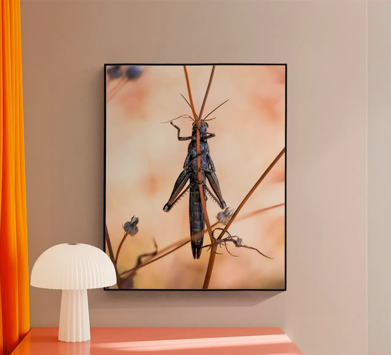 Grasshopper acrylic glass by Tom's Wildlife
