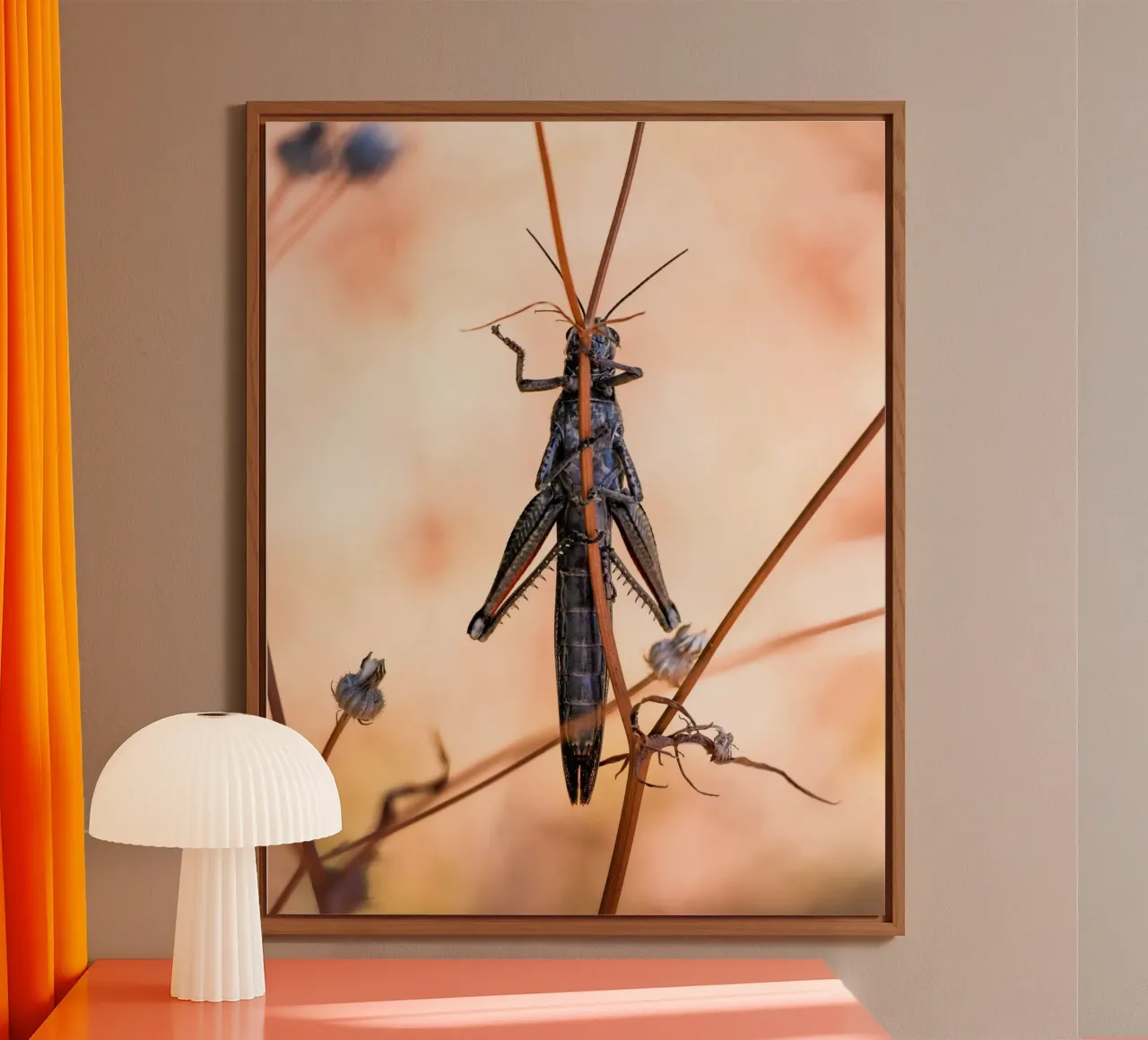 Grasshopper forex plate by Tom's Wildlife